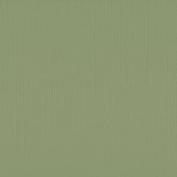 Florence cardstock texture Acacia