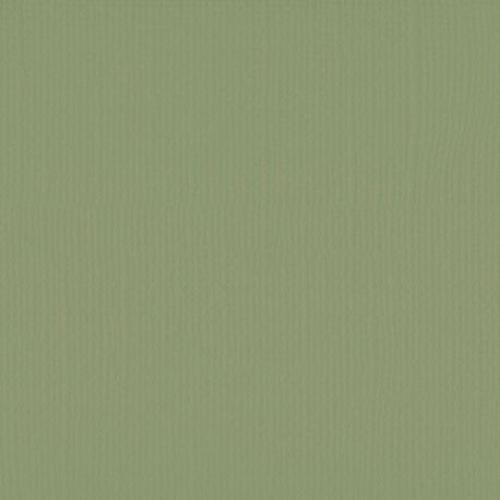 Florence cardstock texture Acacia